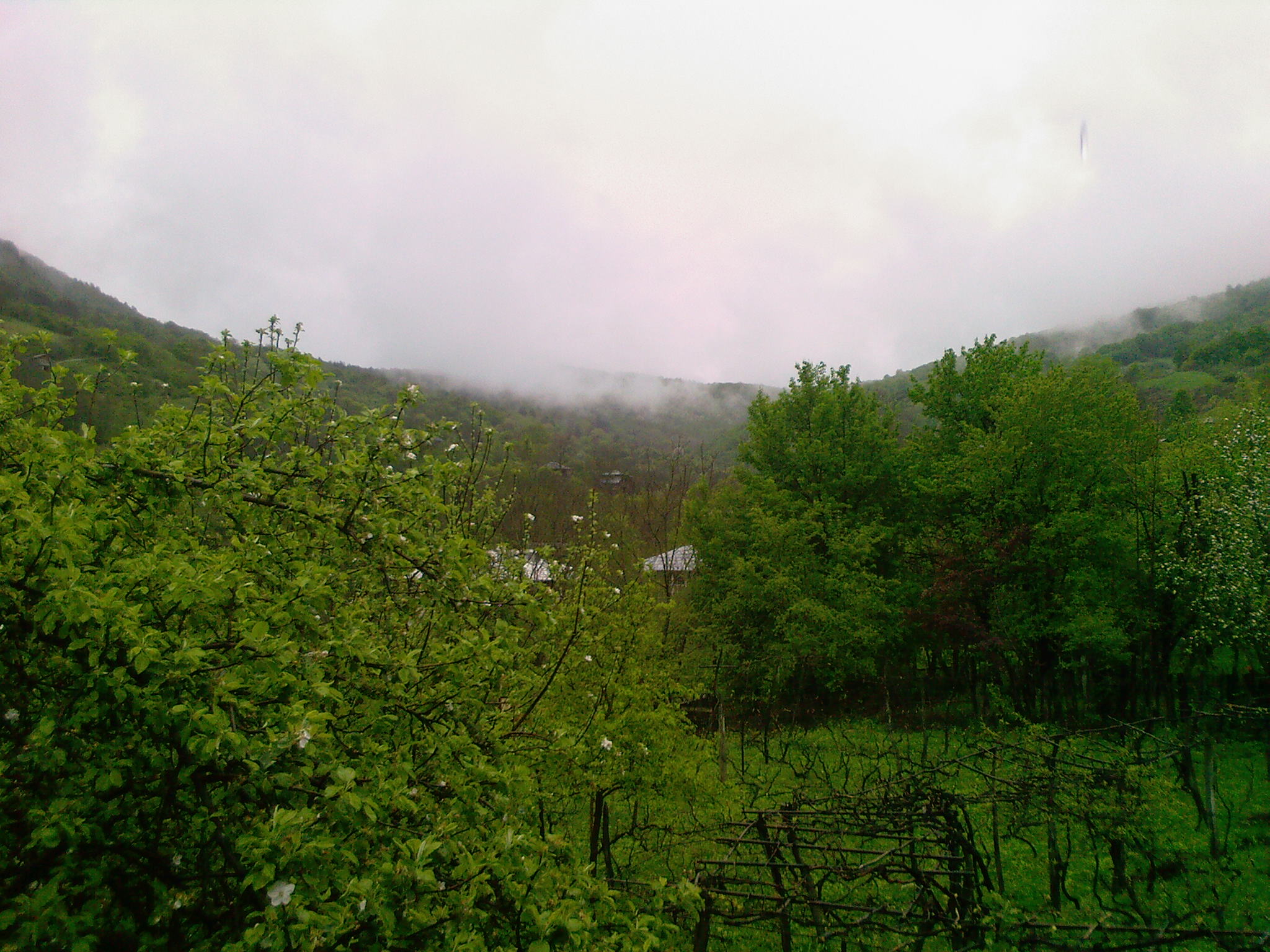 A_0044.jpg