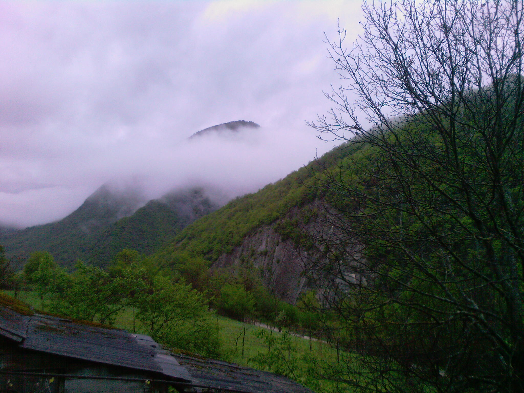 A_0051.jpg