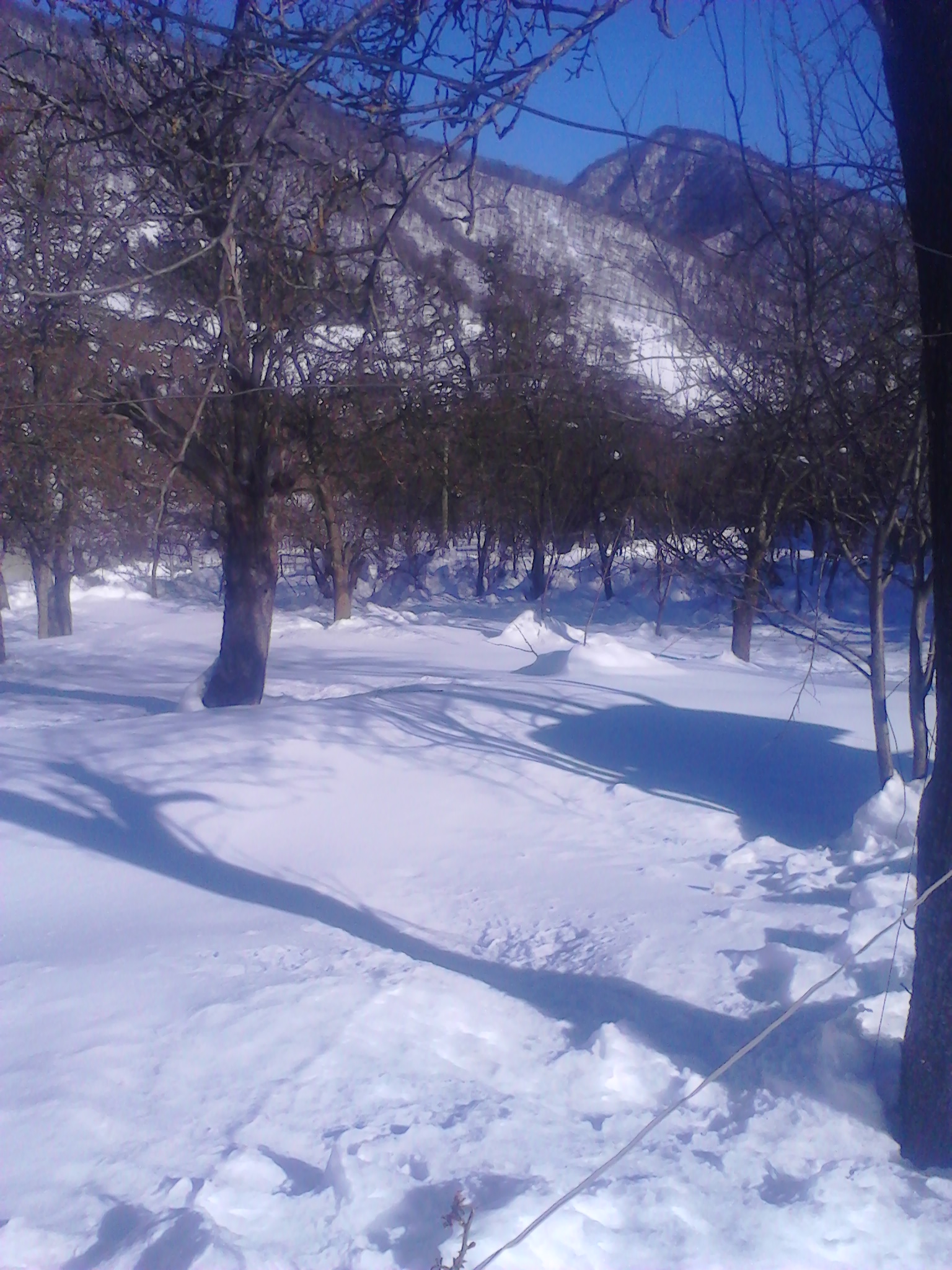 IMG_19800106_212038.jpg