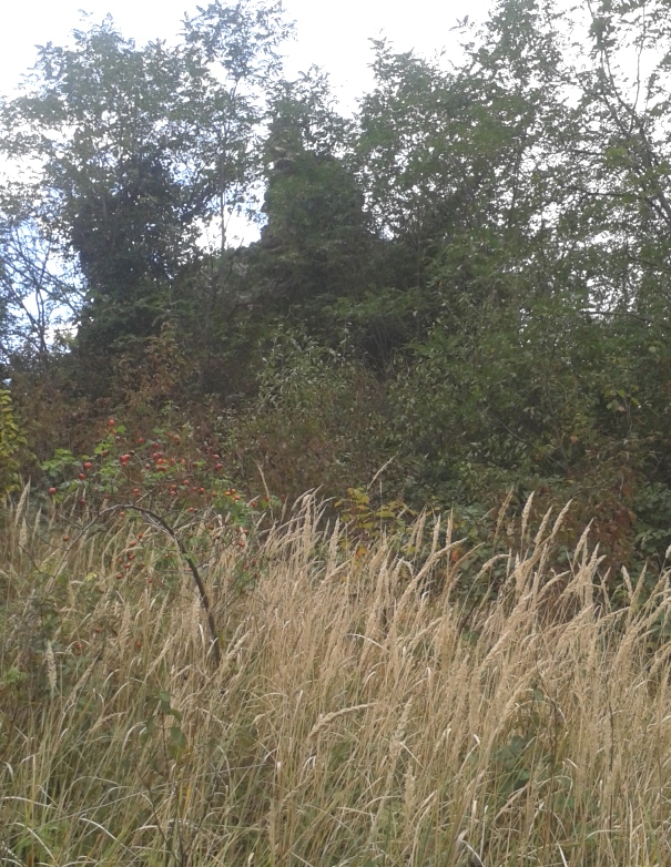 20151016_143929.jpg