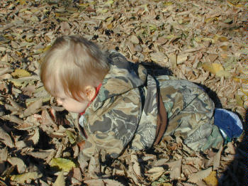 camo.jpg