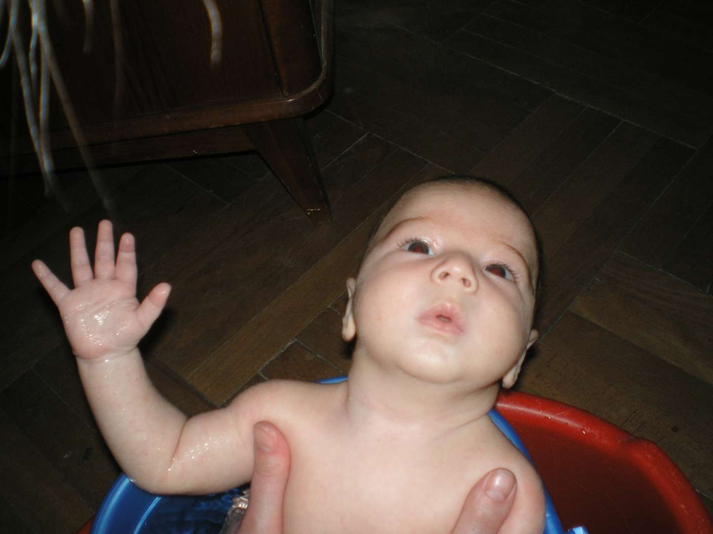PB260396_thumb.jpg