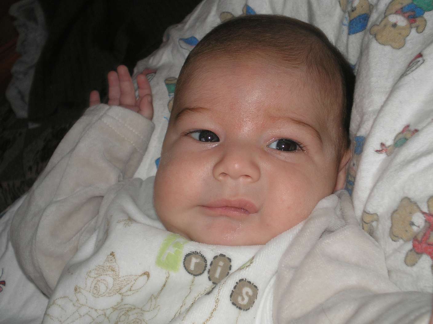 PB240328_thumb.jpg