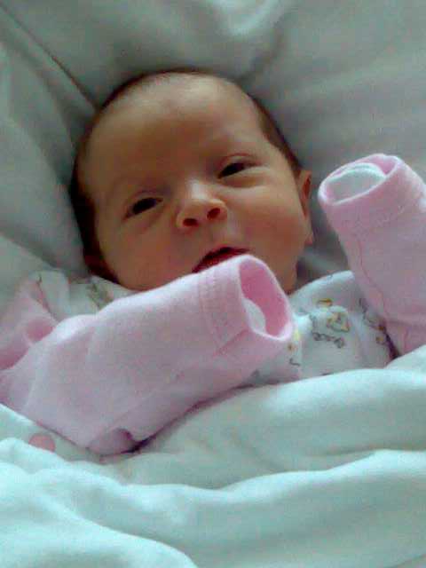 02122007190_small.jpg