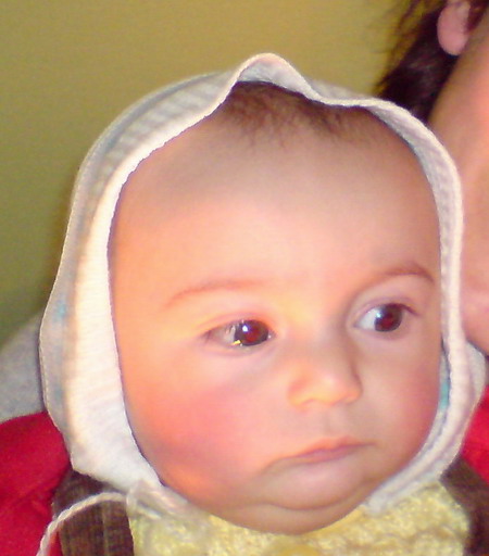 DSC00083.jpg