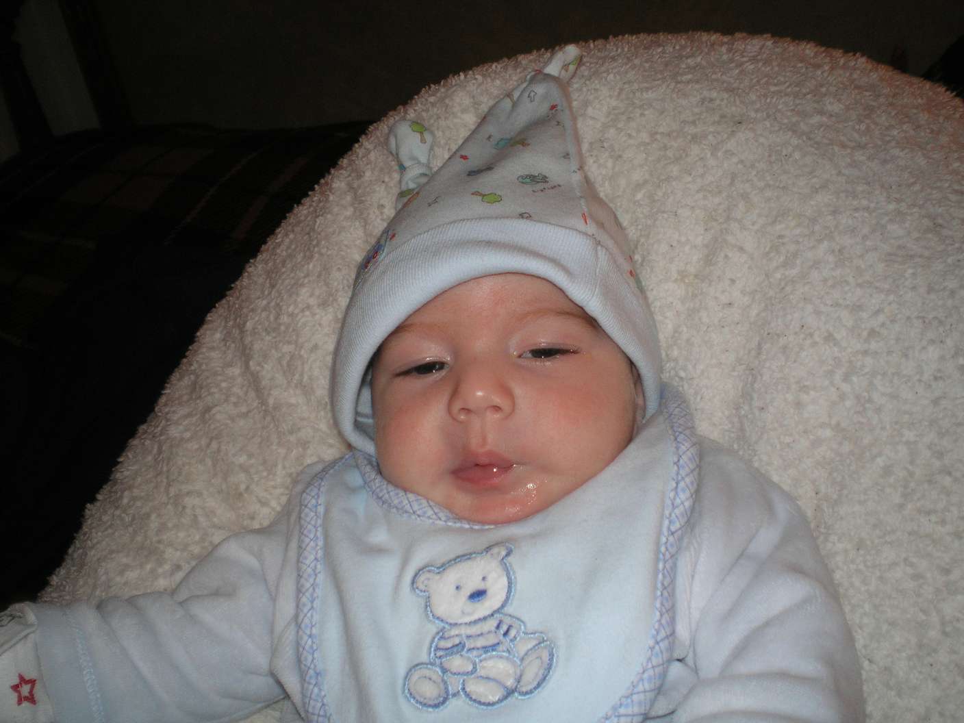PC020333_thumb.jpg