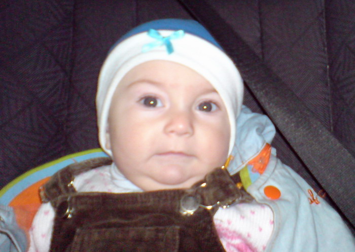 DSC00130____.jpg