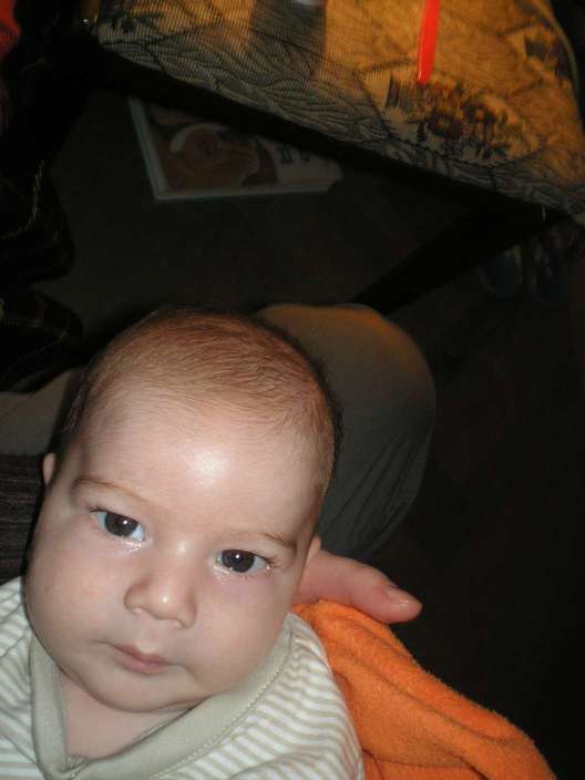 PC160360_thumb_thumb.jpg