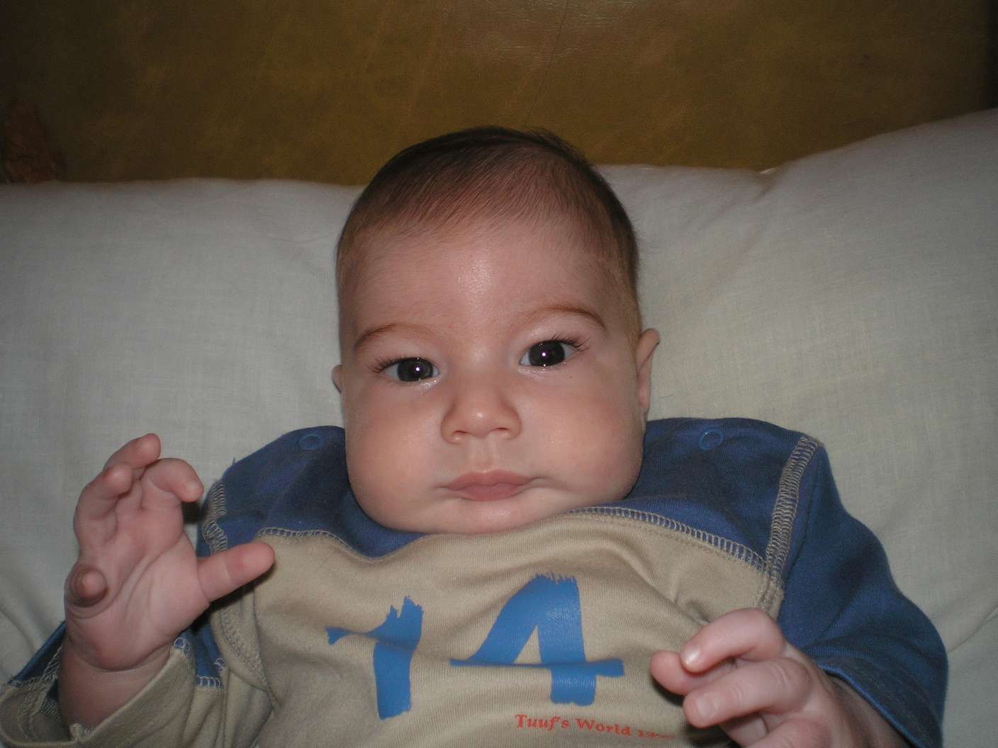 PC200486_thumb.jpg