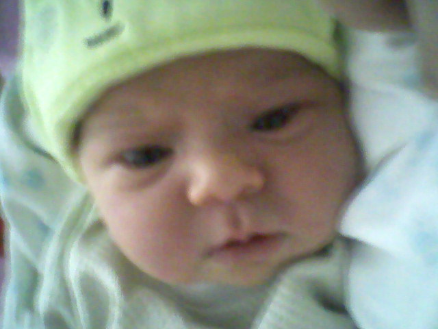 Photo_0007.jpg