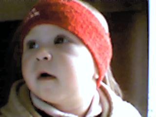 Picture_002.jpg