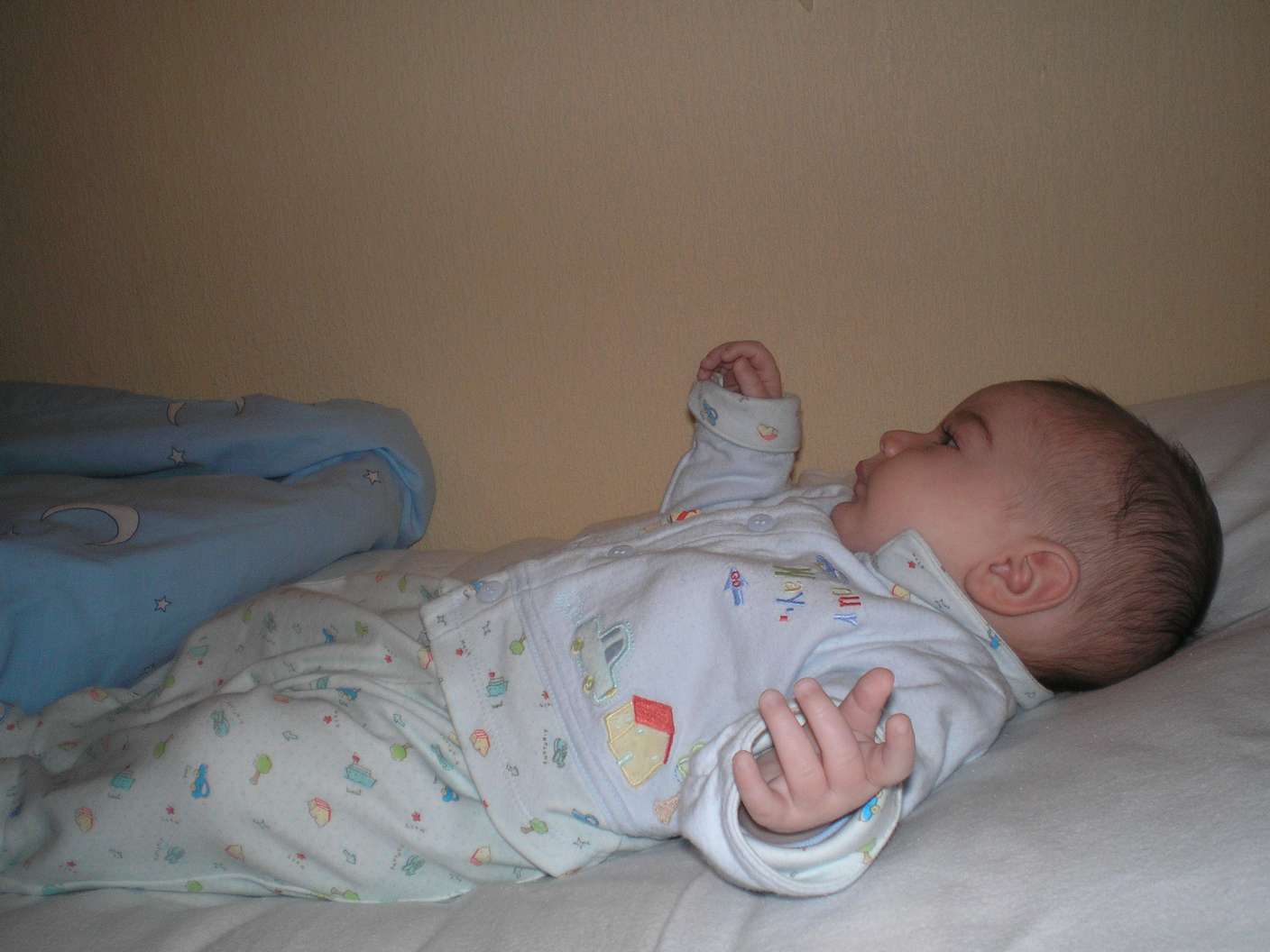 PC260010_thumb.jpg