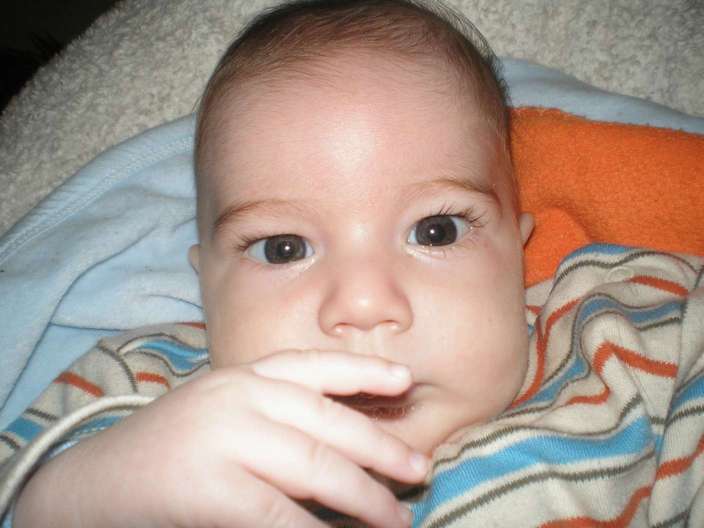 PC260035_thumb_thumb.jpg