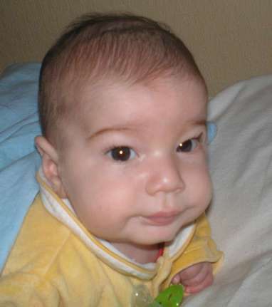 PC280091_thumb_thumb.jpg