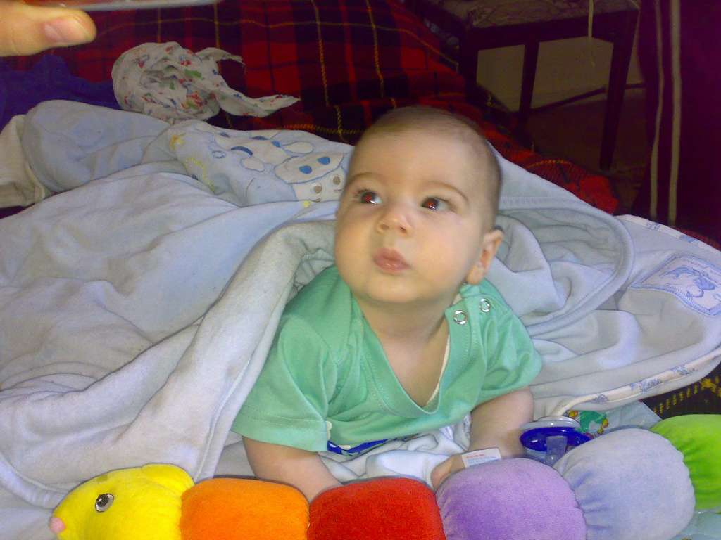 070120081148_thumb.jpg