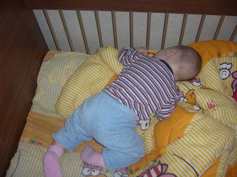 Resize_of_P1030148.JPG