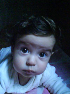 DSC00035.JPG