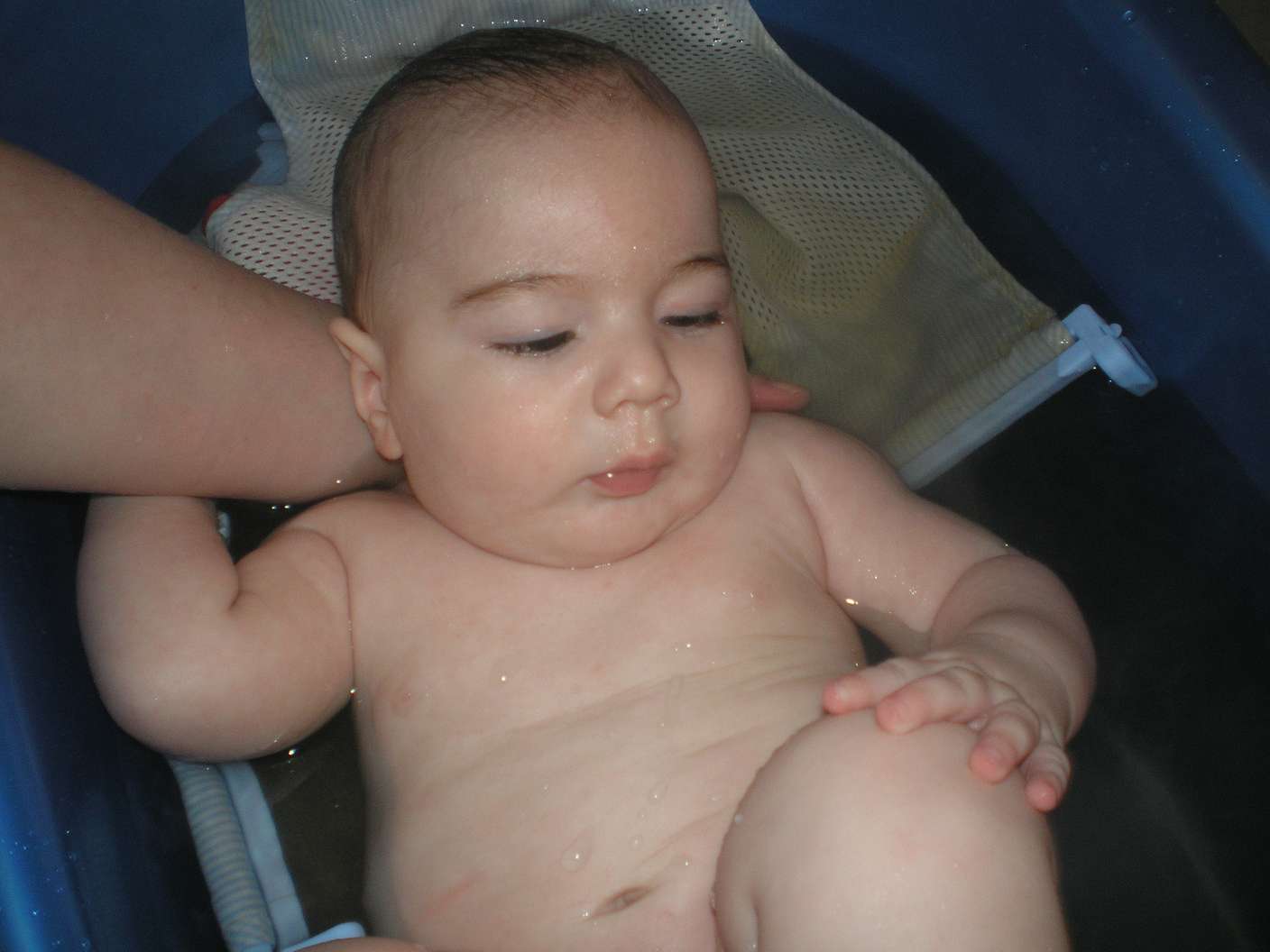 P2100399_thumb.jpg
