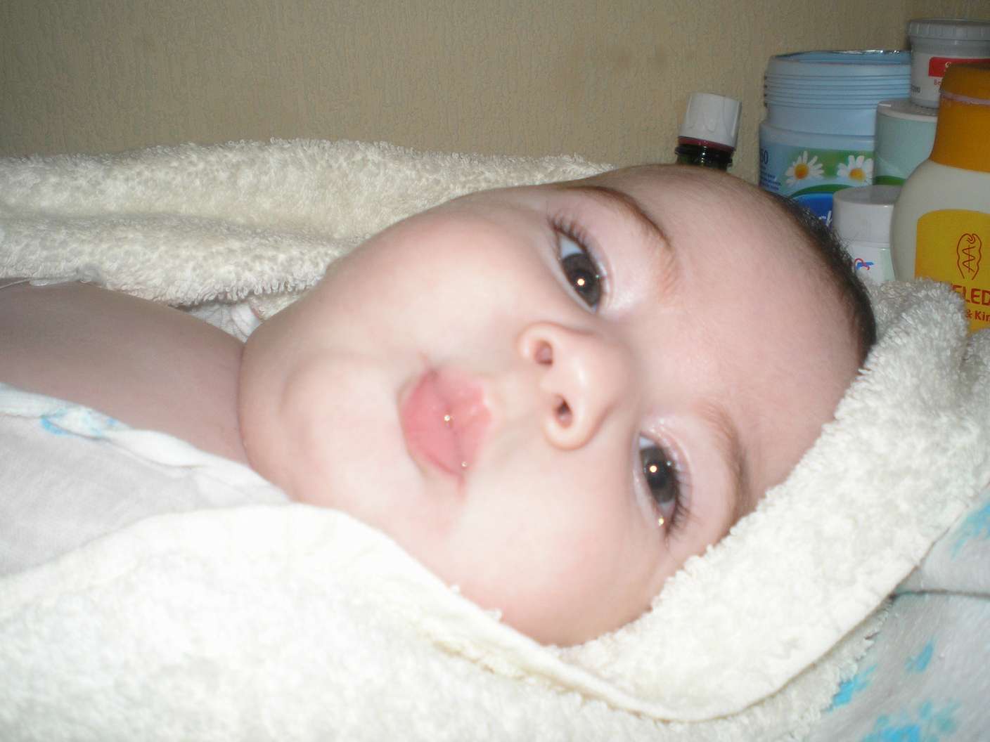 P2100404_thumb.jpg