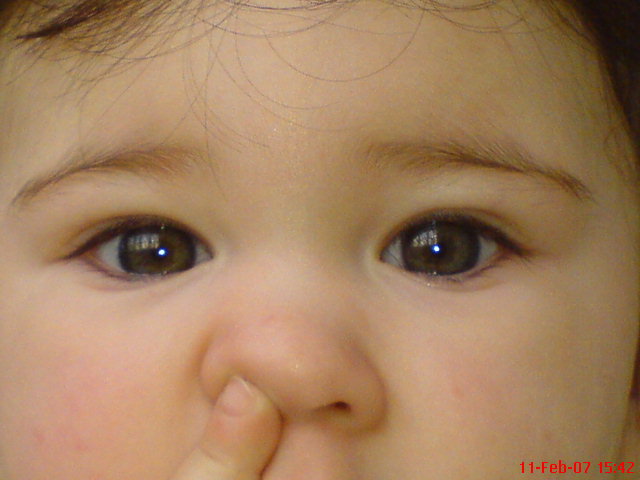 DSC00065.JPG