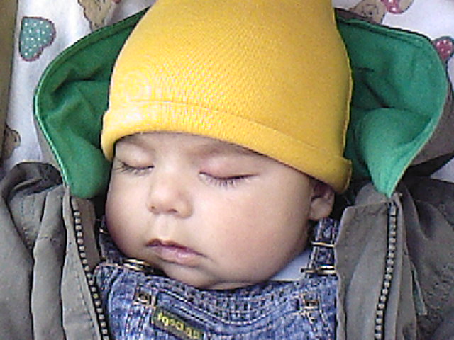 Photo_0213.jpg