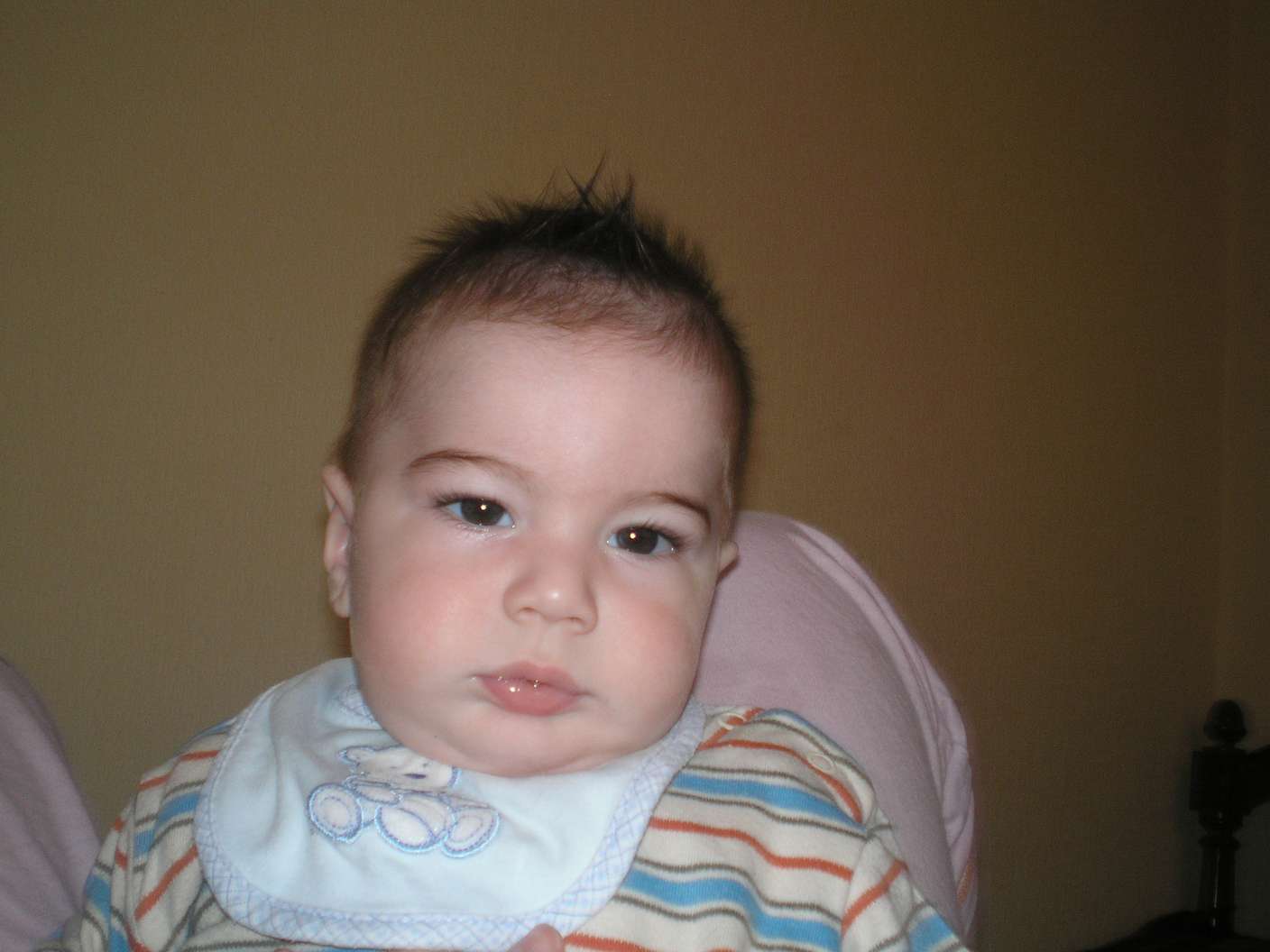 P4100694_thumb.jpg