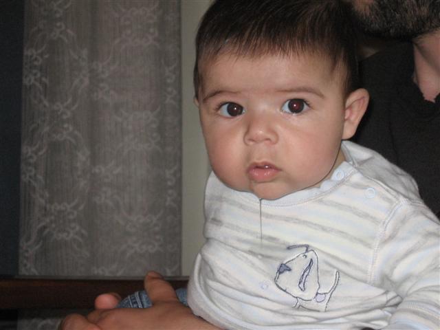 Picture_051__Small_.jpg