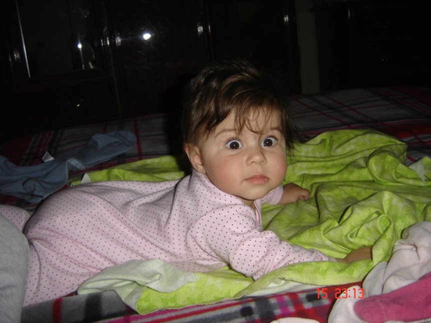 DSC01429.JPG