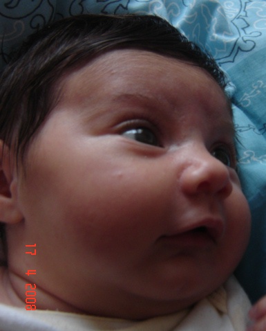 DSC04003.JPG