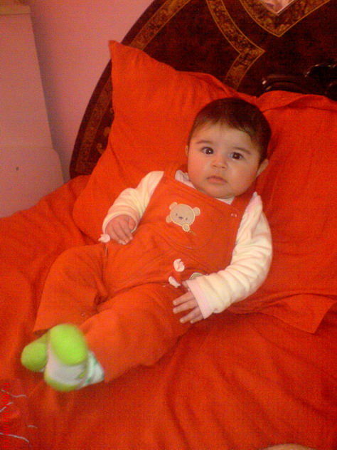 DSC01026.jpg