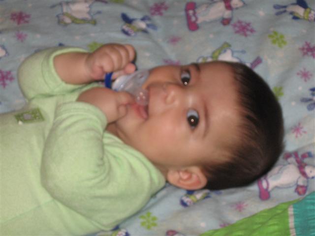 Picture_048__Small_.jpg