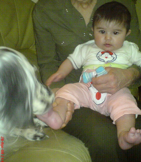 DSC01146.jpg