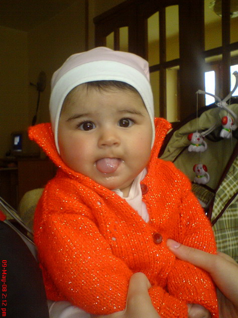 DSC01236.jpg