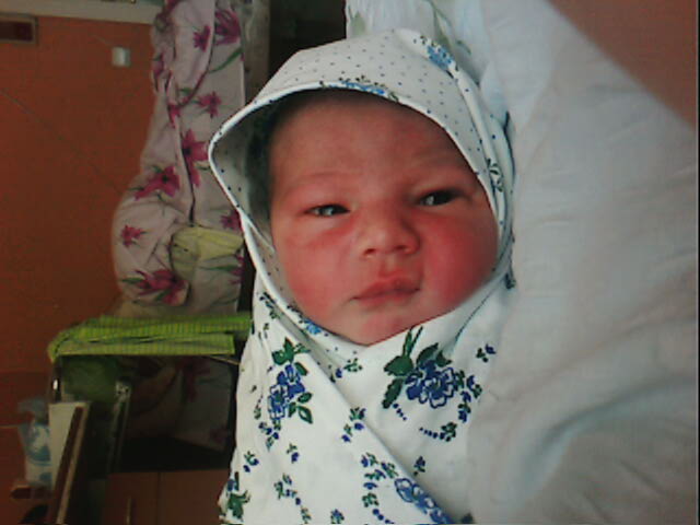 IMG003.JPG