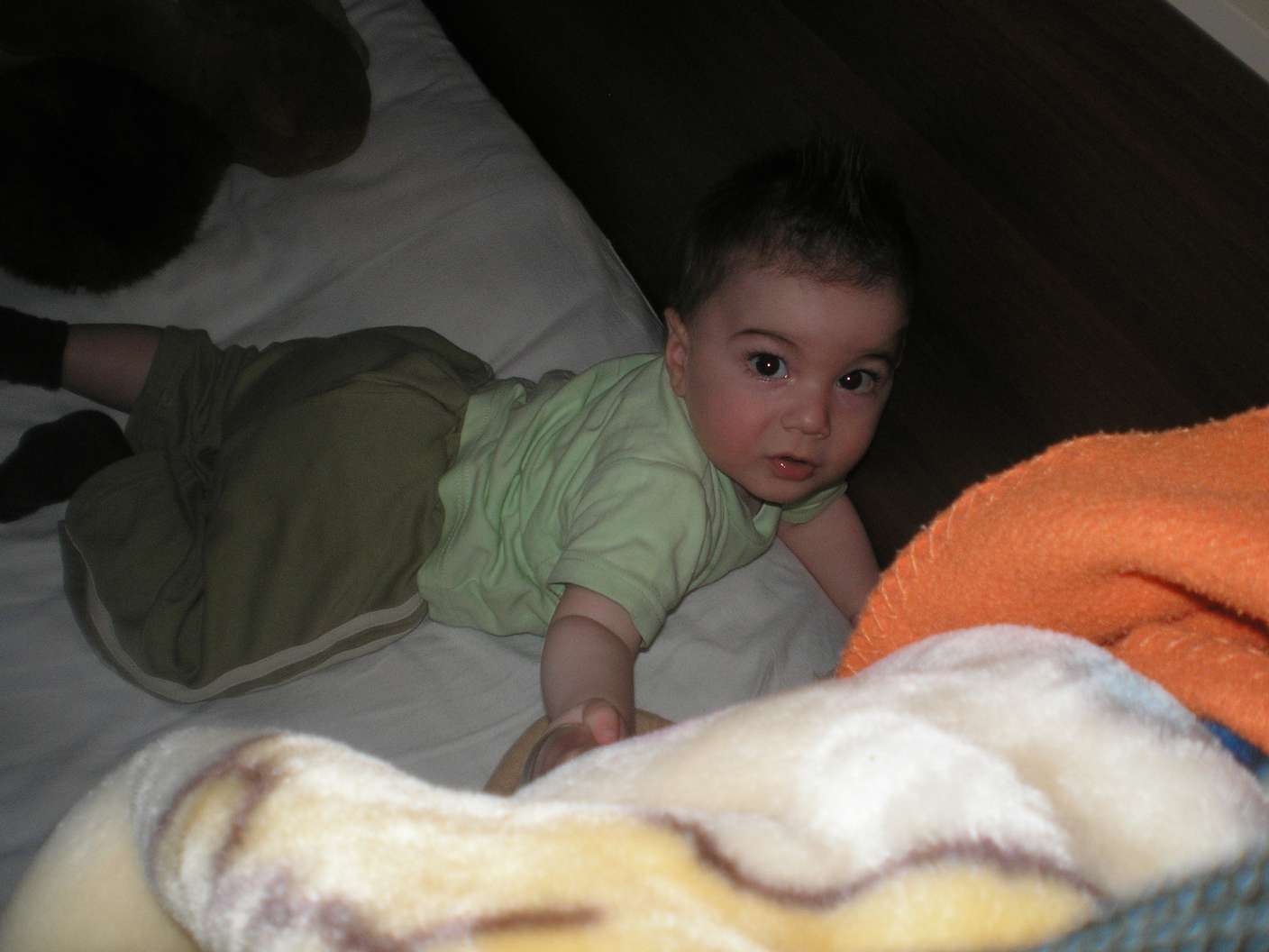 P5241213_thumb.jpg