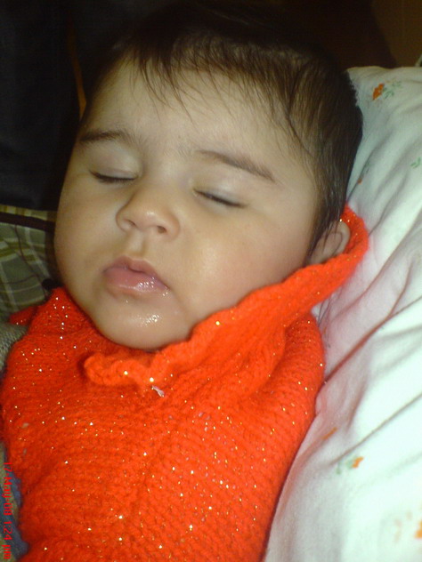 DSC01272.jpg