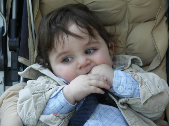 PICT4122_resize.JPG