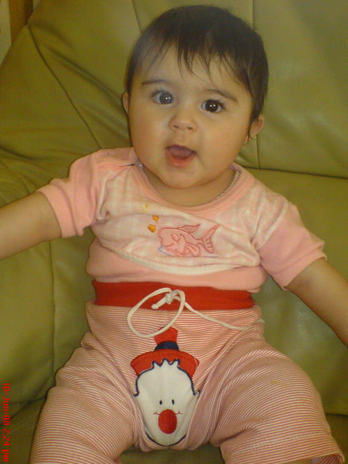 DSC00033.jpg