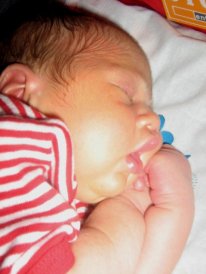 Picture_098.jpg