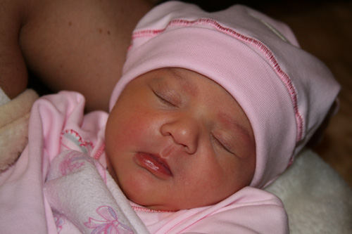 sofi1.jpg