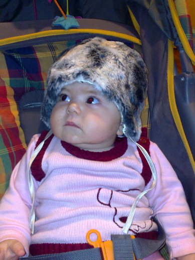 20102008731.jpg
