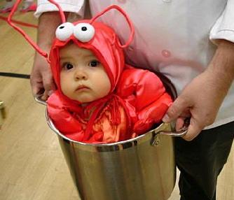 LOBSTER_BABY.JPG