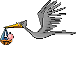 stork_baby.gif