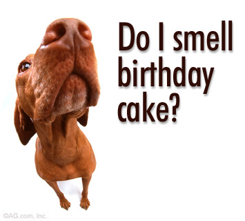 happy_birthday_new_1_.jpg