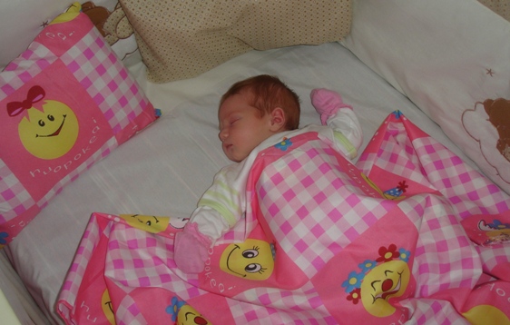 DSC03508.JPG