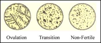 microscope_results.jpg