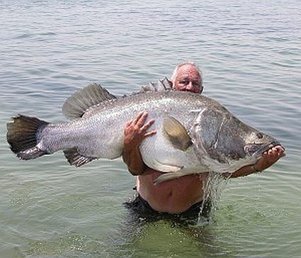big_fish.jpg