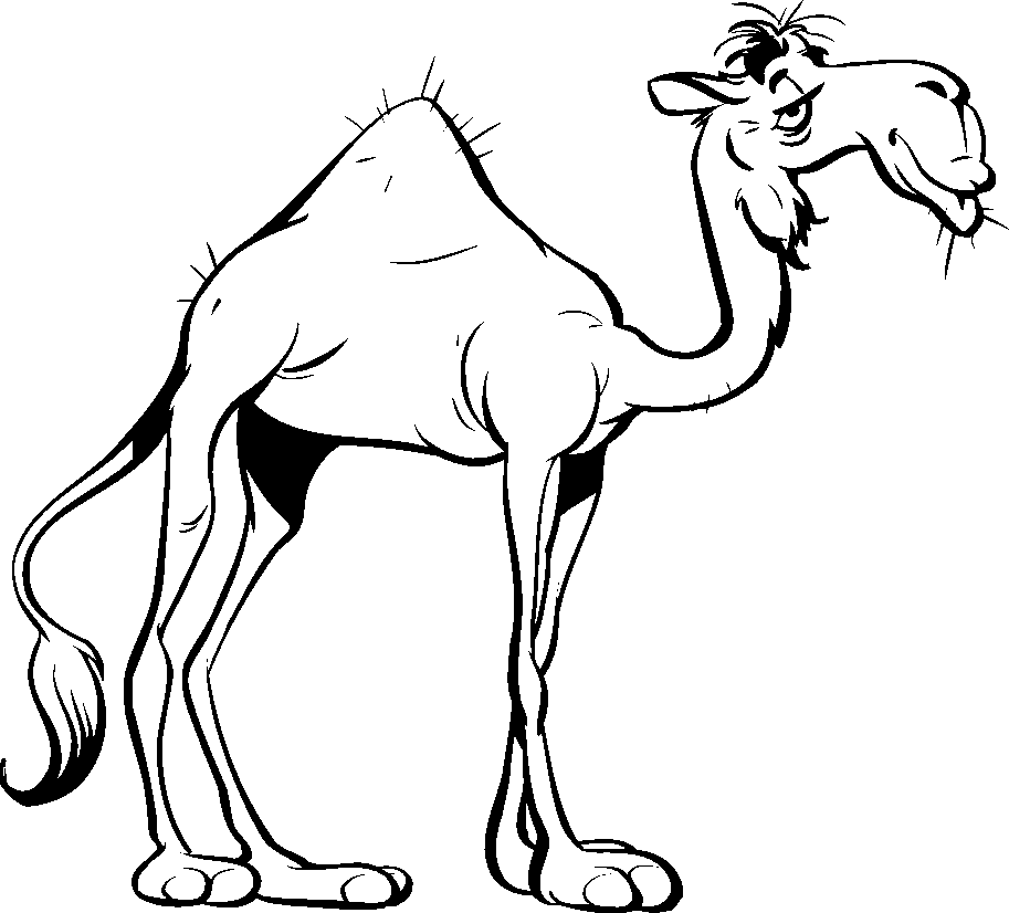 camel_2.gif