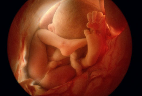 nilsson_rm_photo_36_week_fetus.jpg