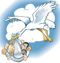 stork.jpg